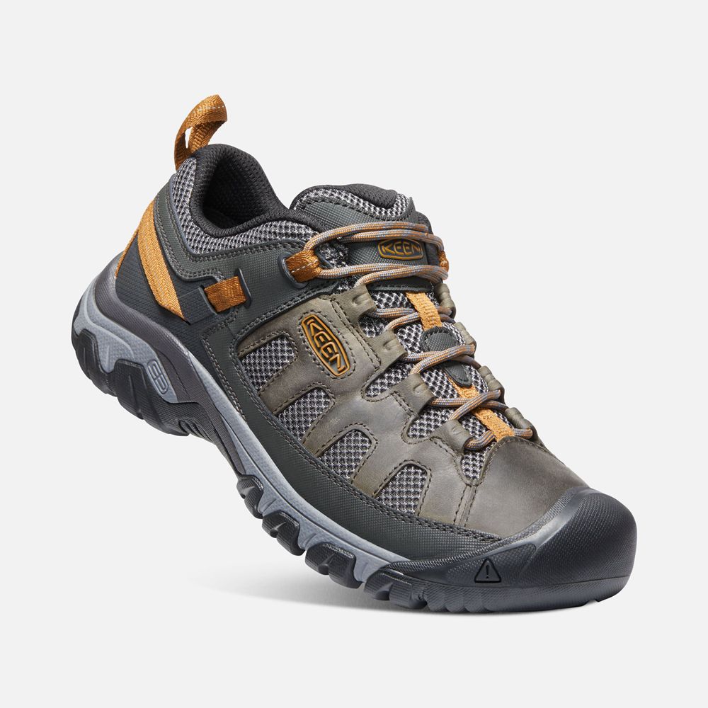 Chaussure de Randonnée Keen Homme Noir Marron | Targhee Vent | JNYTB-9042